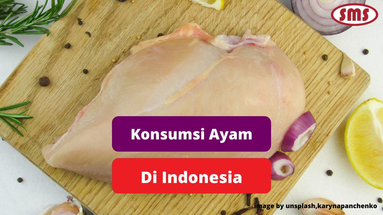 Konsumsi Daging Ayam Sebagai Bahan Pangan Sumber Protein Hewani